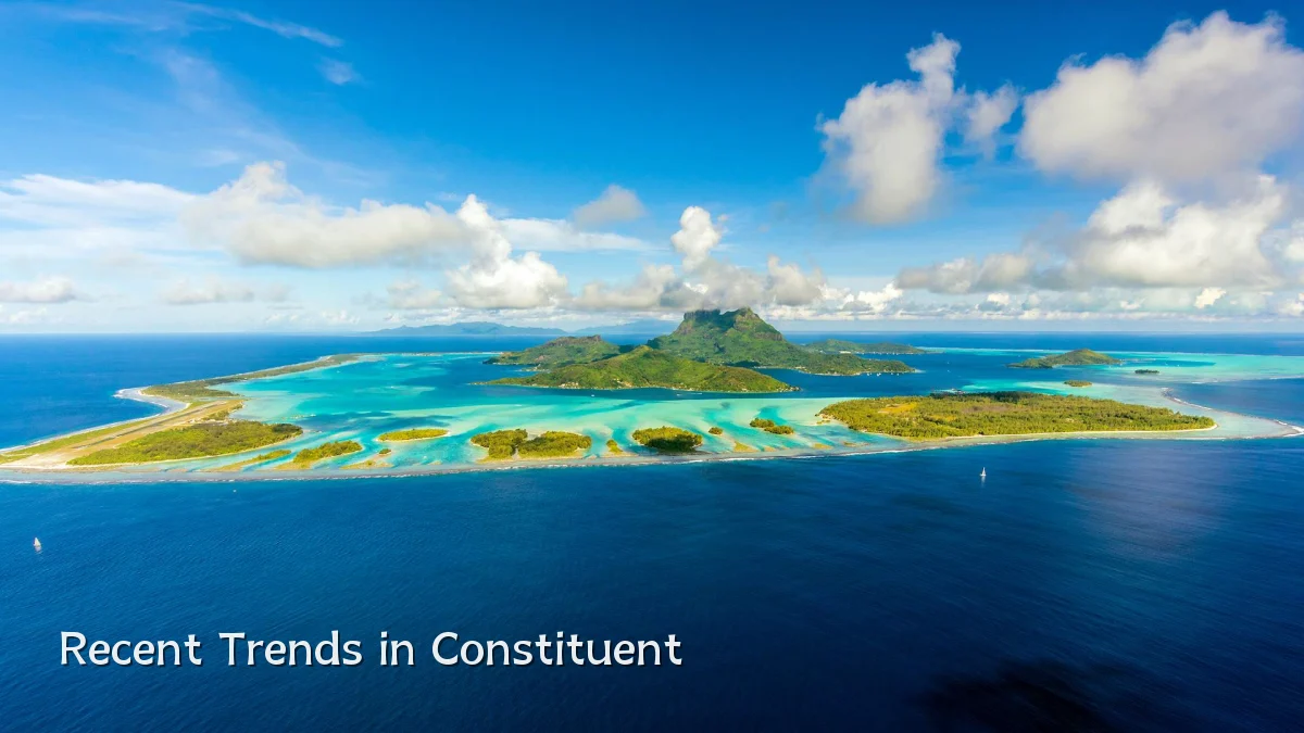 Recent Trends in Constituent
