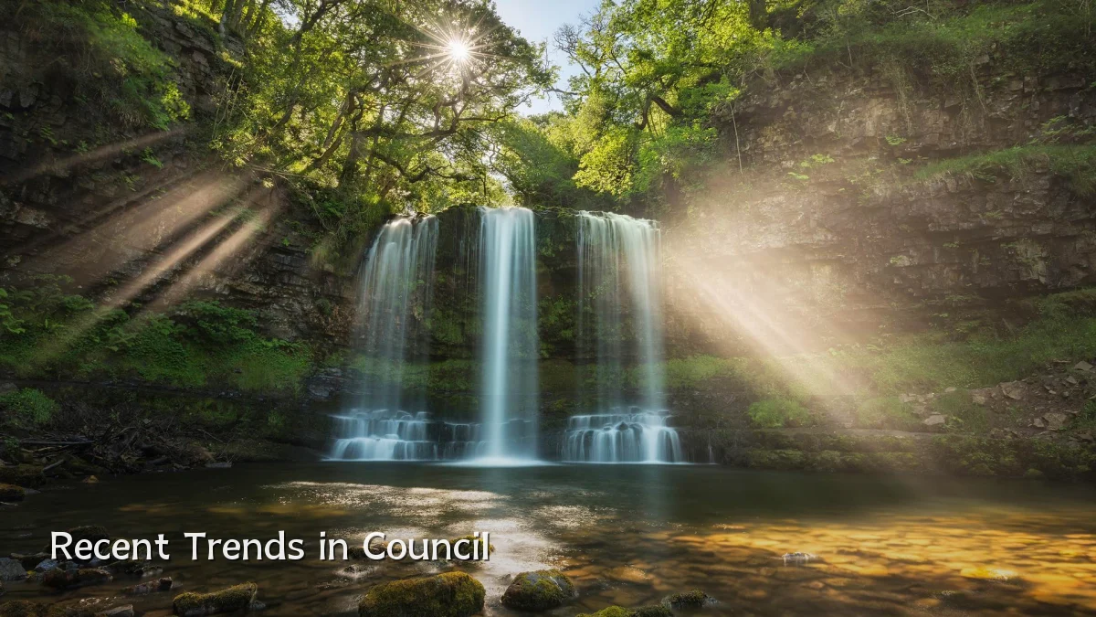 Recent Trends in Council