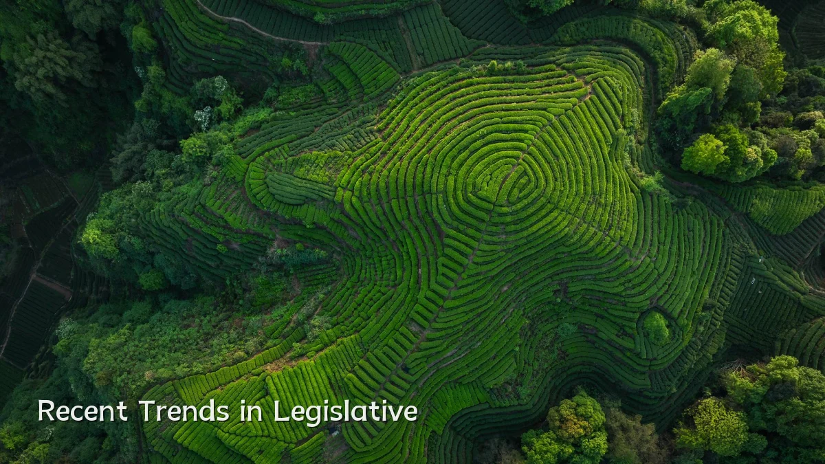 Recent Trends in Legislative