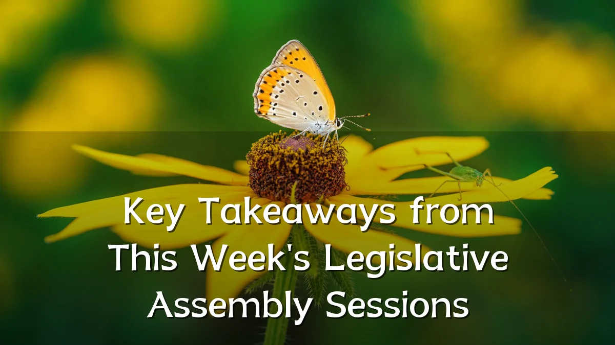 Key Takeaways from This Week's Legislative Assembly Sessions