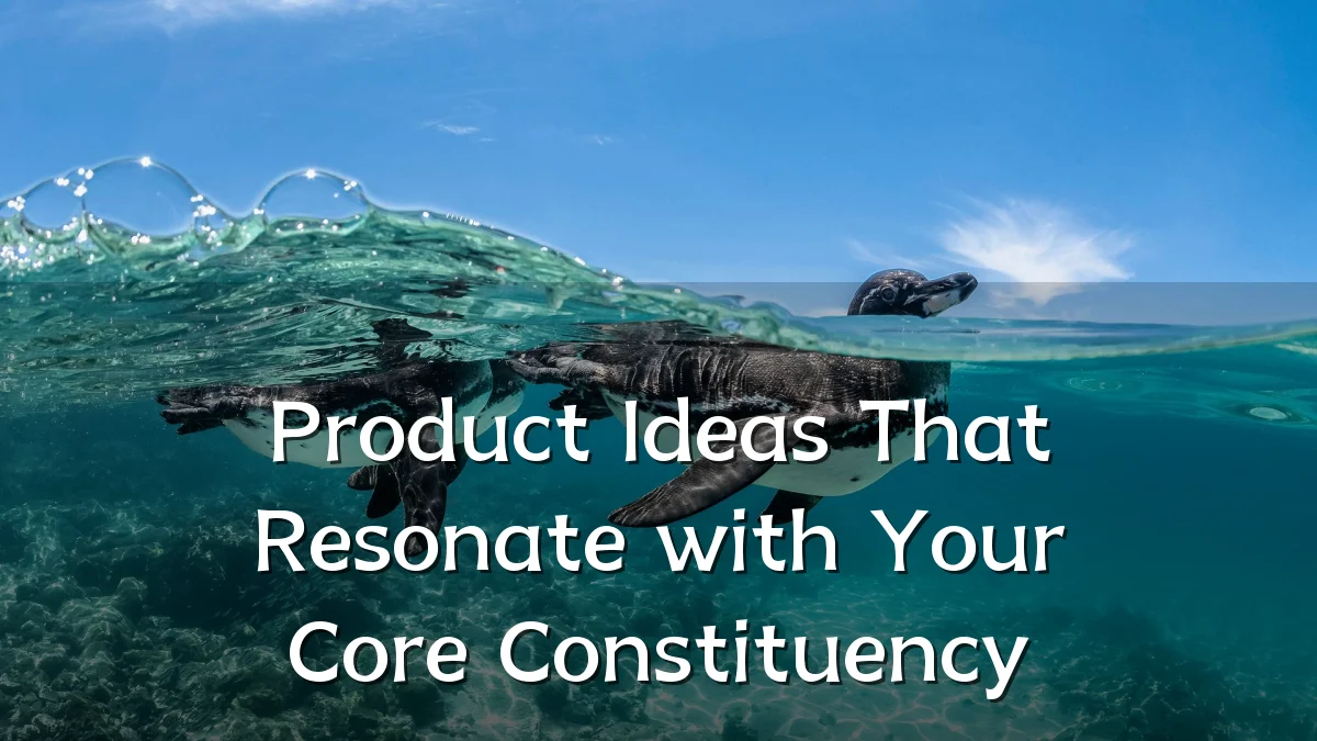 Product Ideas That Resonate with Your Core Constituency