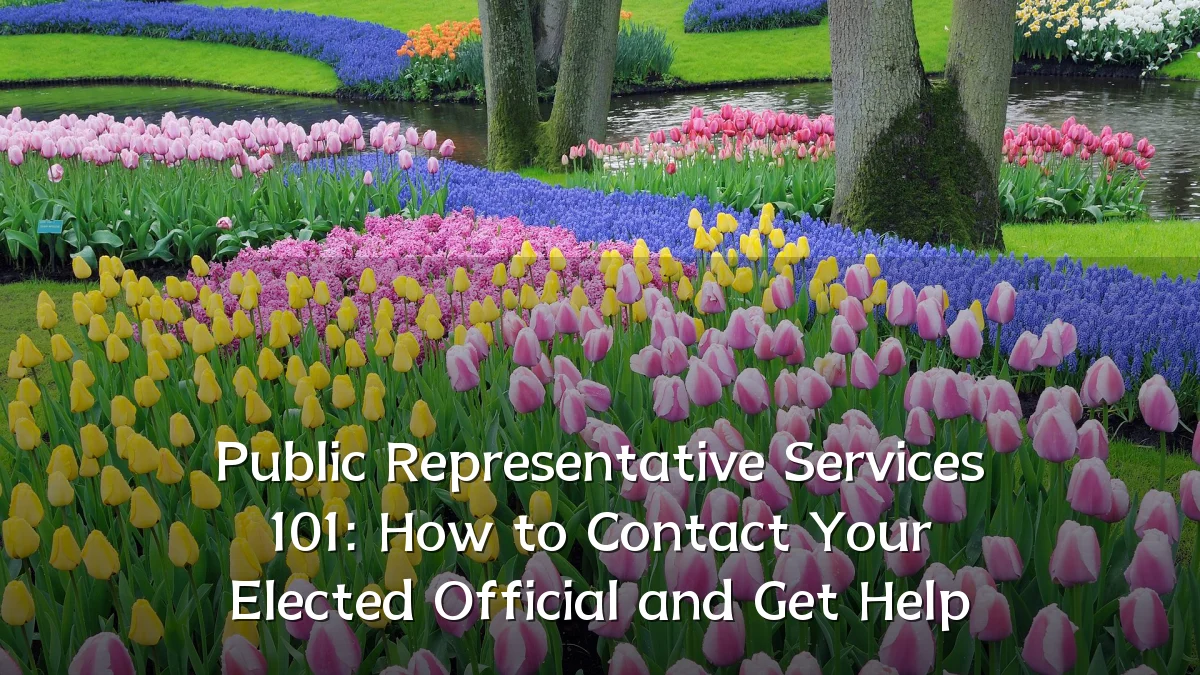 Public Representative Services 101: How to Contact Your Elected Official and Get Help