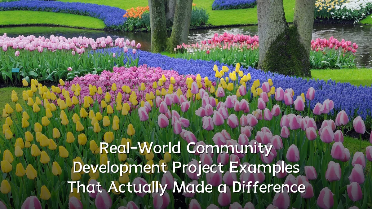 Real-World Community Development Project Examples That Actually Made a Difference