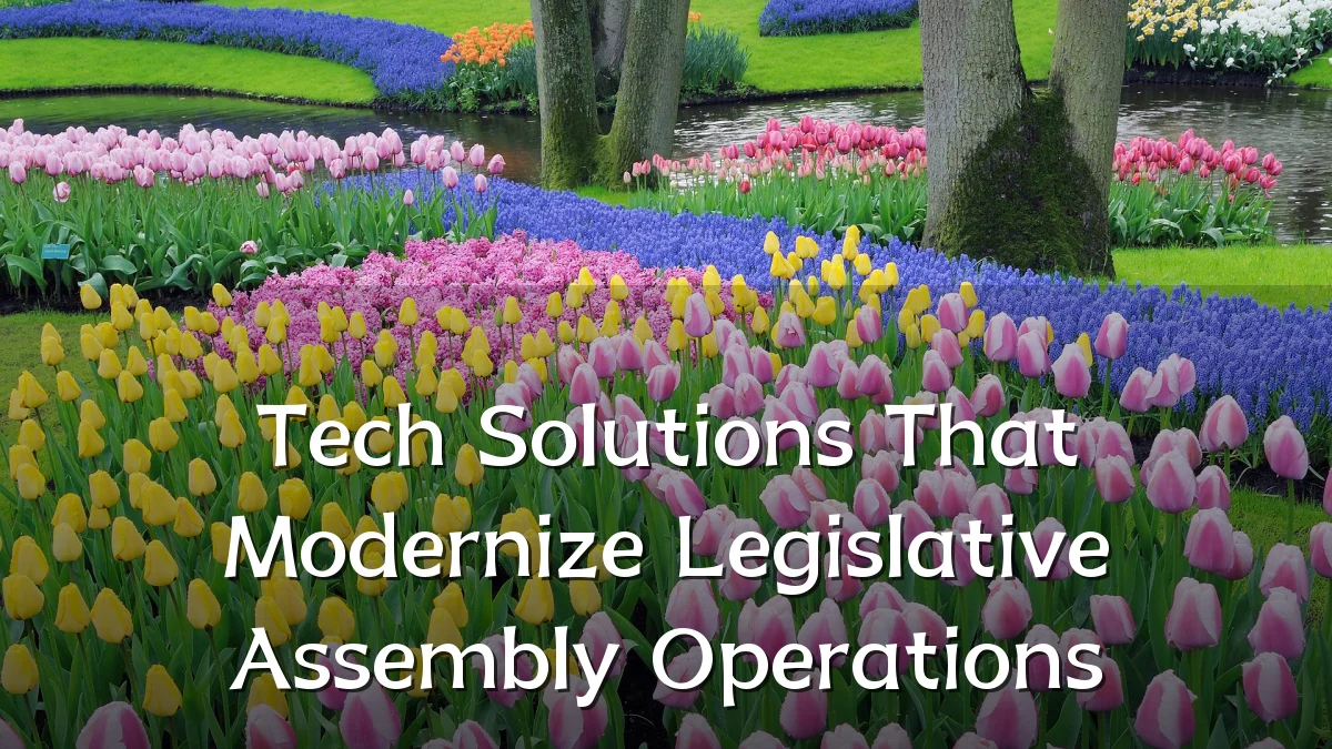 Tech Solutions That Modernize Legislative Assembly Operations