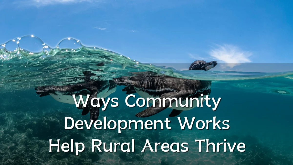 Ways Community Development Works Help Rural Areas Thrive