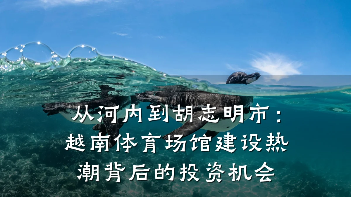 从河内到胡志明市：越南体育场馆建设热潮背后的投资机会